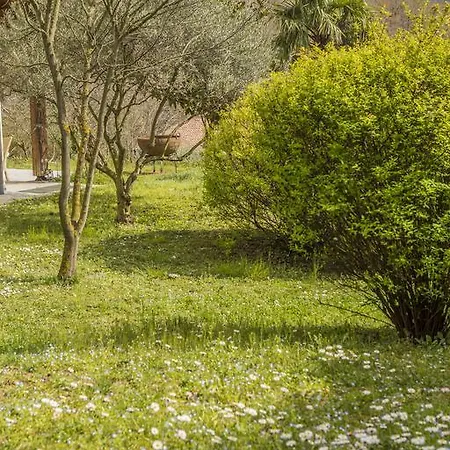 La Belfiorita Holiday home